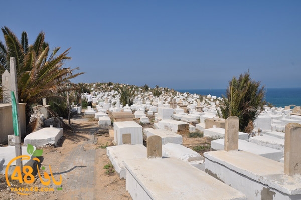 kashaf nady kazakhana3 (3).JPG